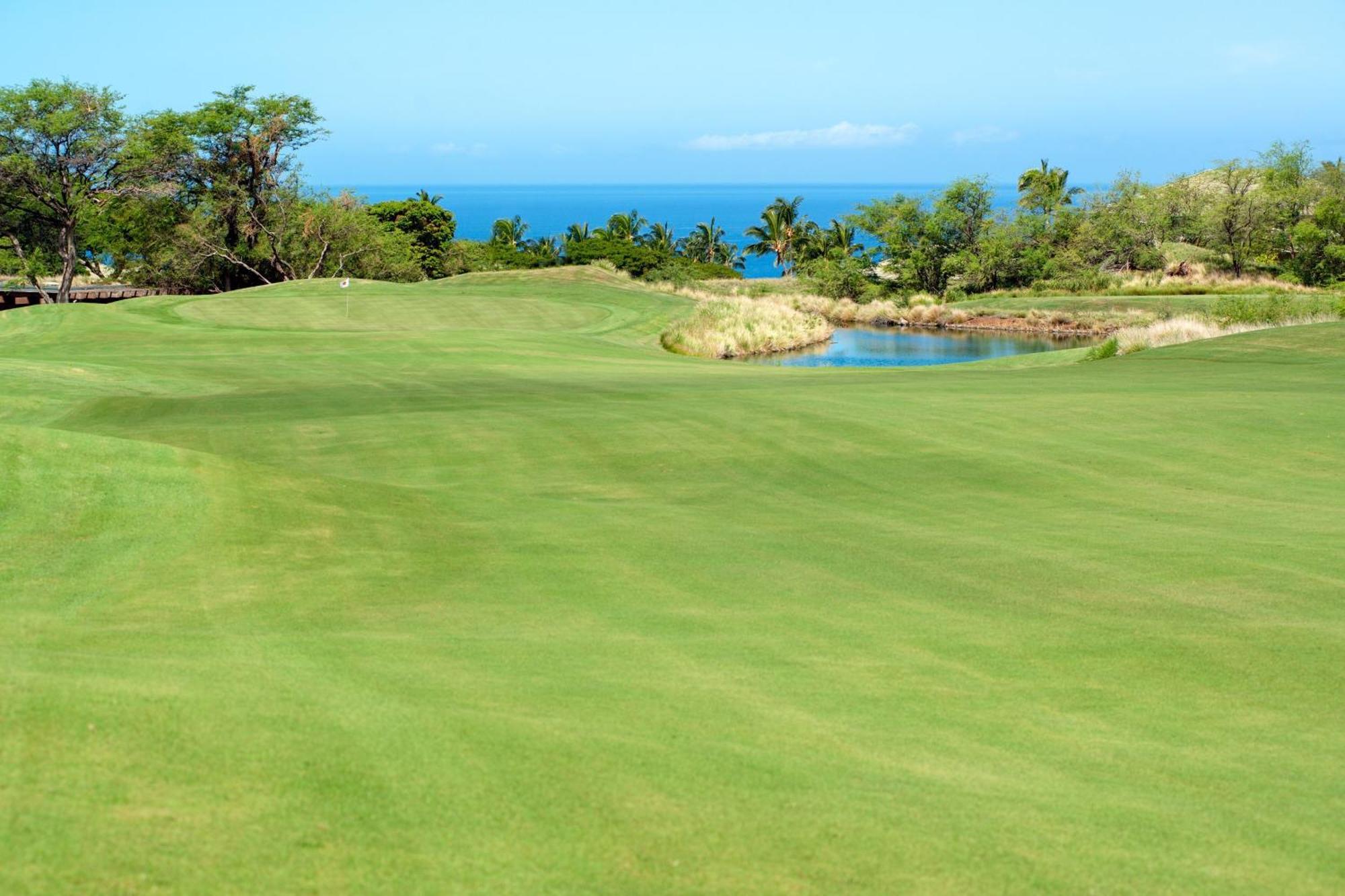 Hotel The Westin Hapuna 4*